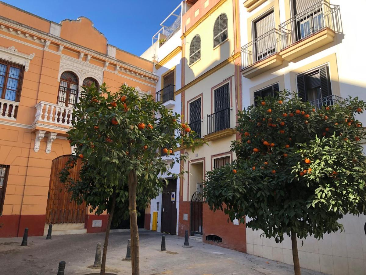 Unique House - Private Spa&Pool -Stayinseville Sevilha Exterior foto